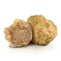 WHITE TRUFFLE - Tuber magnatum