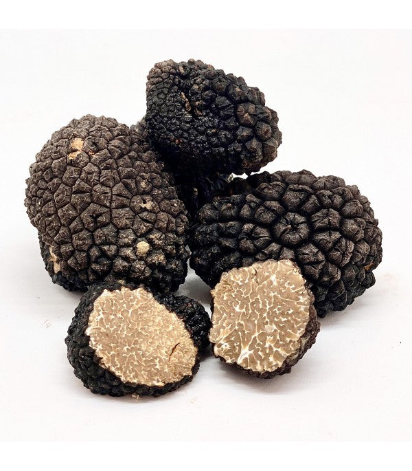 SUMMER BLACK TRUFFLE - Tuber aestivum