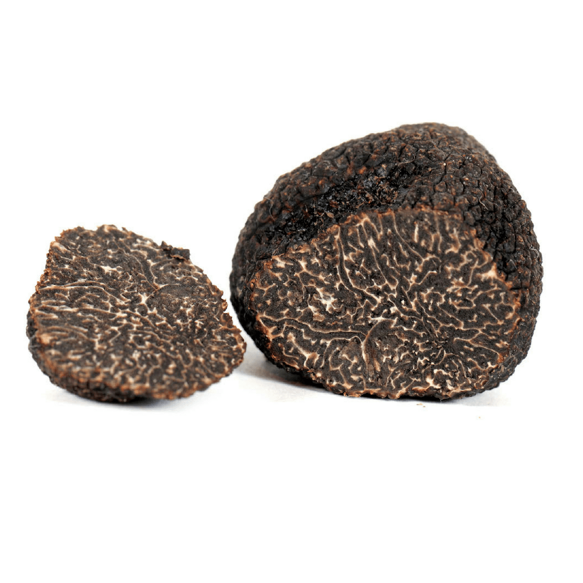 WINTER BLACK TRUFFLE - Tuber melanosporum