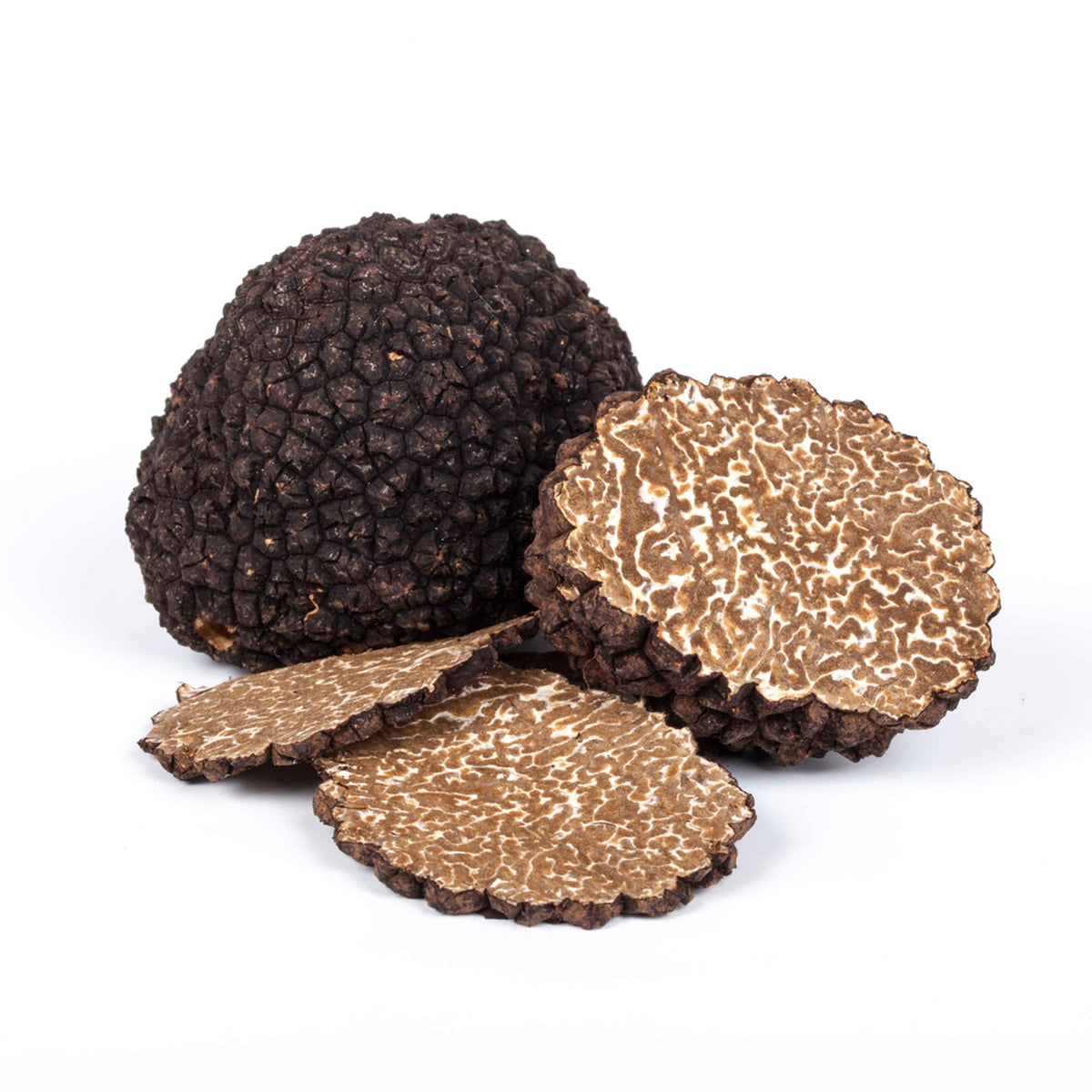 BURGUNDY TRUFFLE - Tuber uncinatum